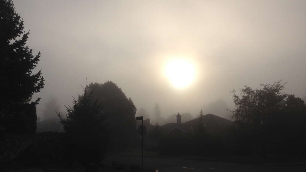 Foggy conditions in central B.C.Thursday [Video]