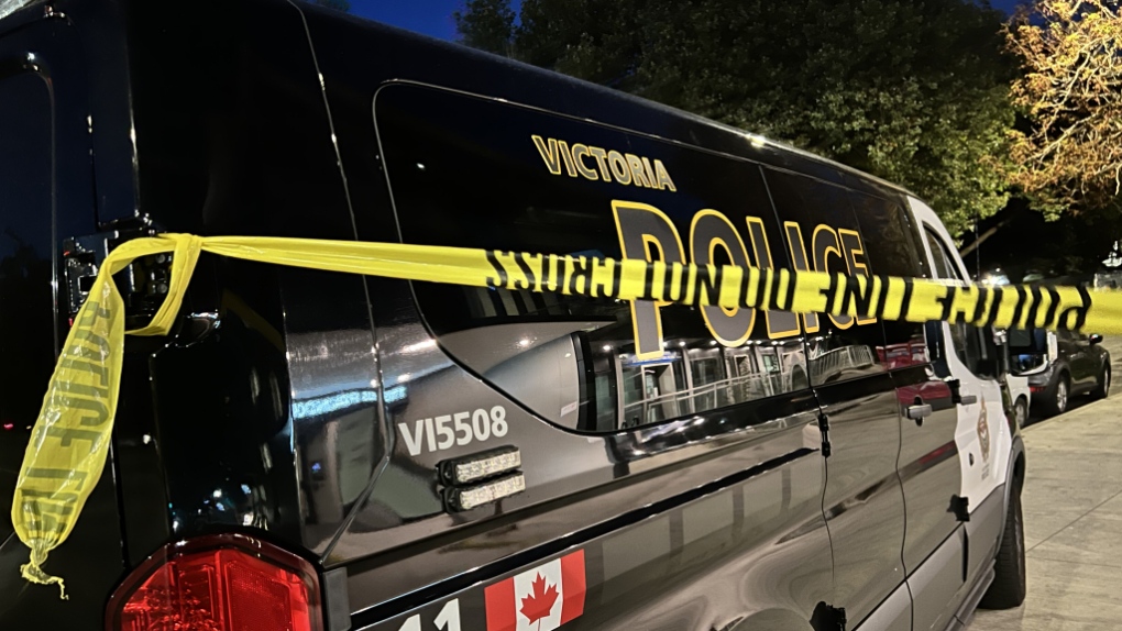 Man charged after victim pinned to tree with vehicle in Victoria [Video]