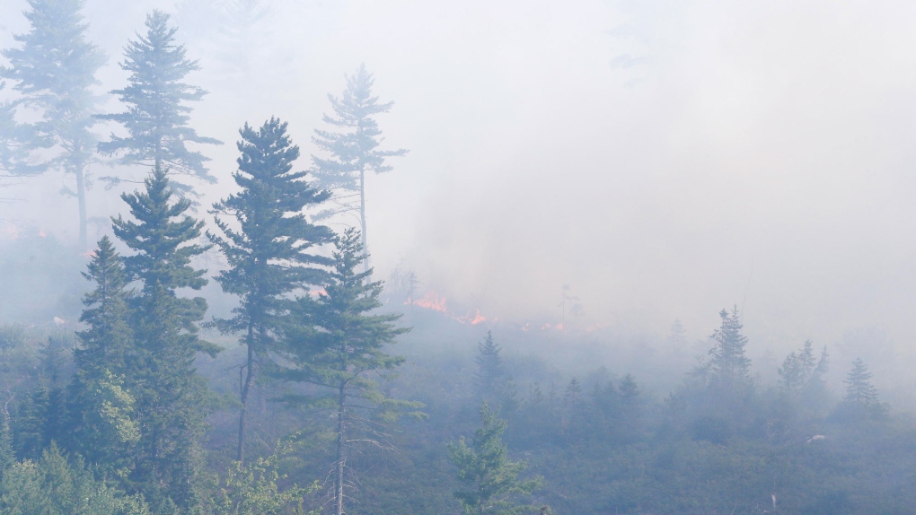 N.S. news: Federal funding for 2023 wildfires, floods [Video]