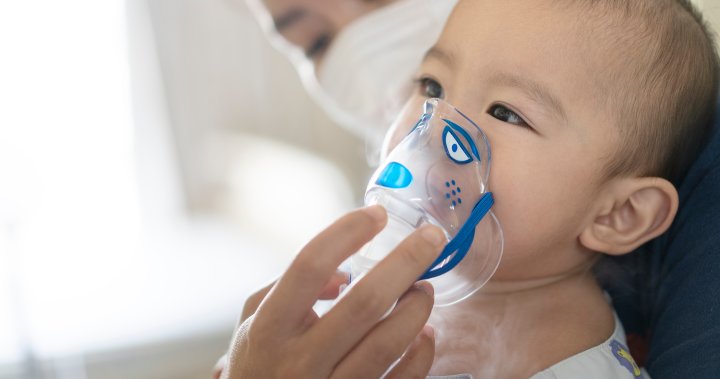 Its RSV season in Canada. Heres how to keep children safe – National [Video]