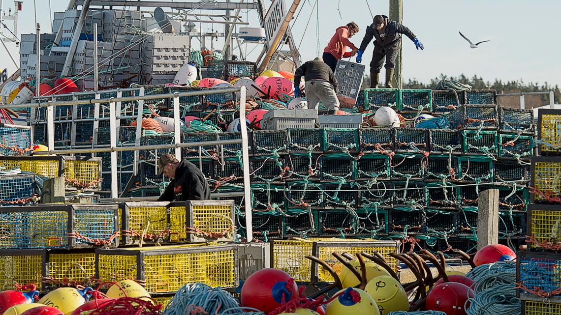 Trump tariffs could make for pricier fish [Video]