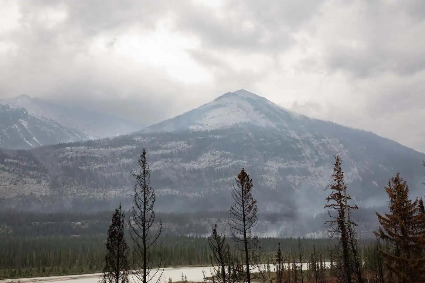 U.S. study links Canadian wildfire smoke to doctor visit spike in Baltimore [Video]