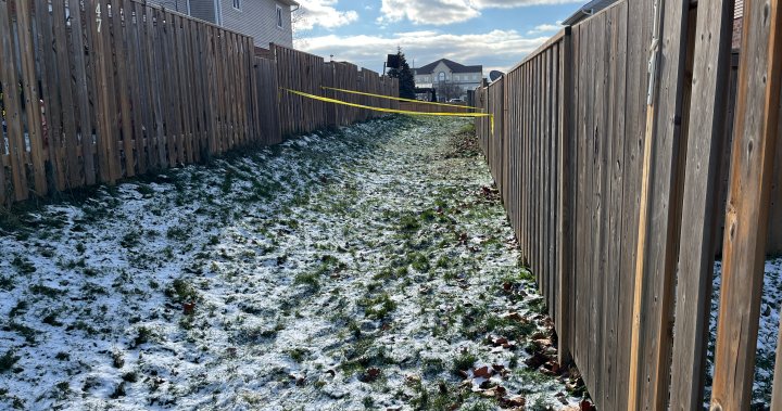 Ontario man charged with 2nd-degree murder in brothers death [Video]