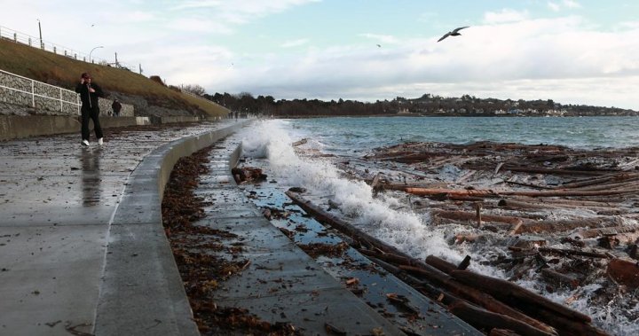 Ferry cancellations, wind warnings issued for B.C.s South Coast [Video]