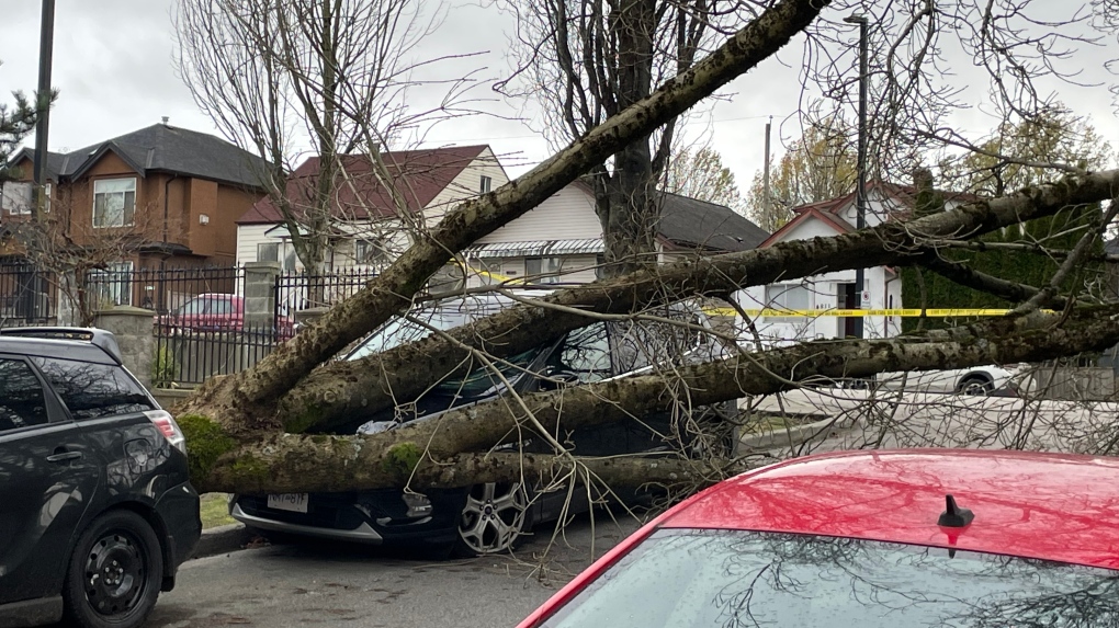 B.C. windstorm knocks out power, cancels ferries [Video]