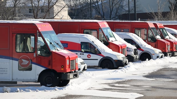 Canada Post says workers to return Tuesday after labour board ruling [Video]