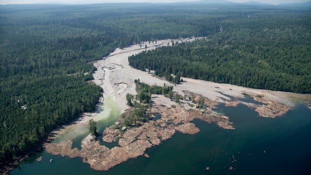 Mount Polley disaster’s toxic impact continues to filter through B.C. waters, 10 years later: researchers [Video]