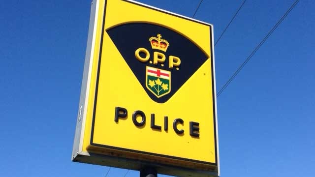 Haldimand OPP lay charges in historical sexual assault investigation [Video]