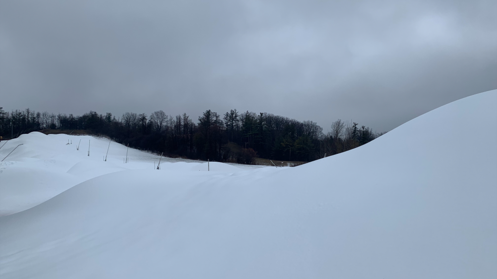 Will we get a white Christmas? Here’s what the experts say [Video]