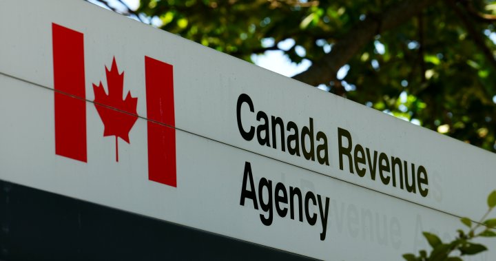 Ottawa moving ahead on automatic tax filing. Heres what to know – National [Video]