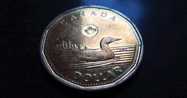 Loonie drops below 70 cents US as inflation cools in November – National [Video]