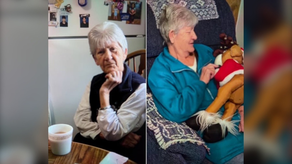 Missing 87-year-old woman sought by police [Video]