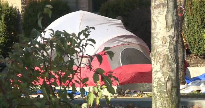 Overnight shelter restrictions in Victorias parks heading to court – BC [Video]