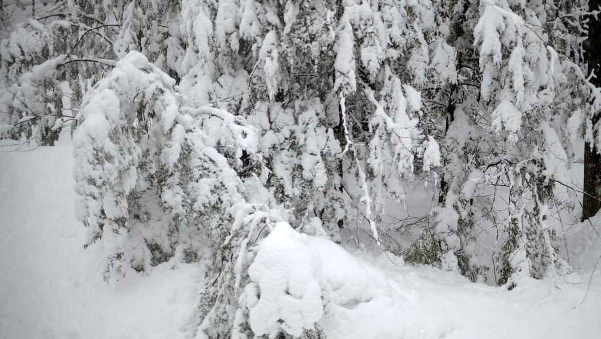 A white Christmas in Maine? Here are the chances [Video]