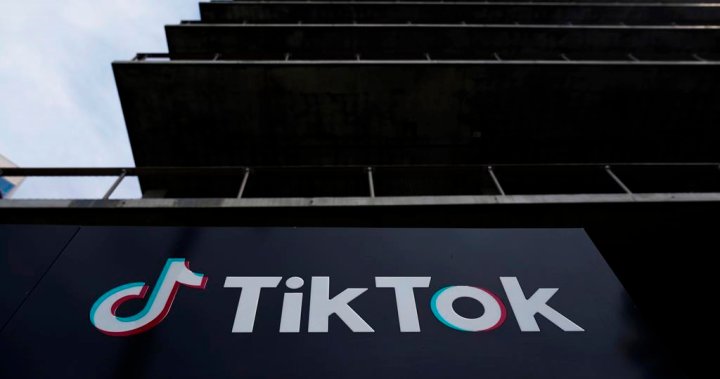 TikToks challenge of U.S. forced ban law to be heard by Supreme Court – National [Video]