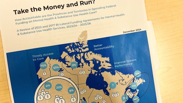 New report questions P.E.I.’s use of money earmarked for mental health and addictions [Video]