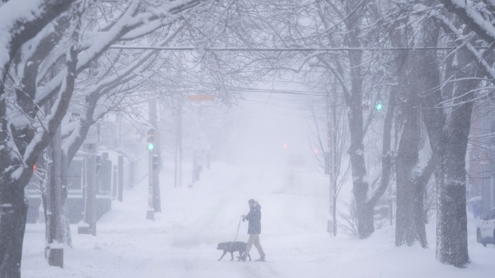 Significant snowfall expected in Maritimes this weekend [Video]