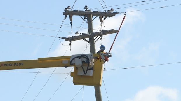 As P.E.I. becomes leader in switching to electricity, utility looks to keep up [Video]