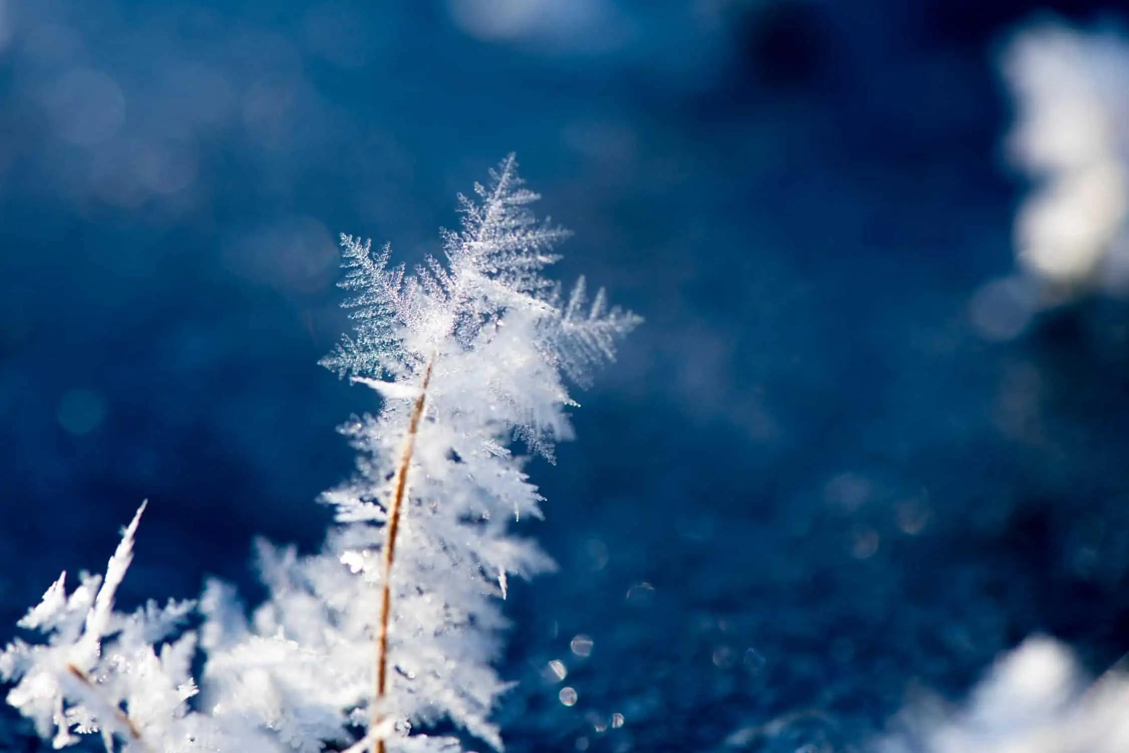 Dec. 19 weather: Cold winds on the way lead to temperature drop across southern Ontario [Video]