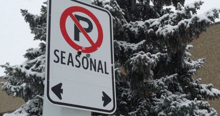 Move your cars: City of Edmonton declares Phase 1 parking ban after big snowfall – Edmonton [Video]