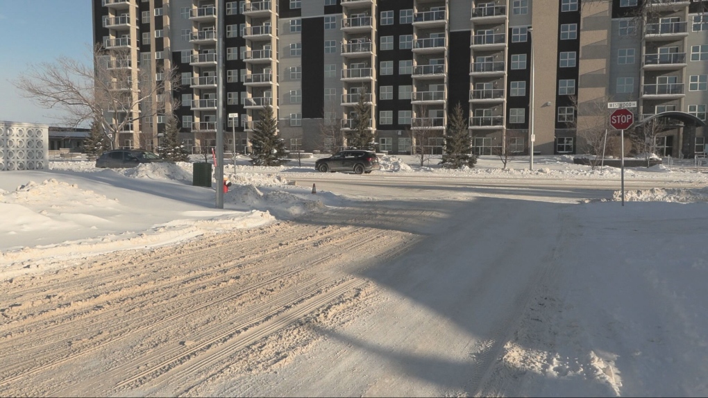 Winnipeg police: man dead after being hit by car [Video]