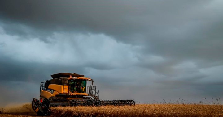 Im here for you: Program helps farmers struggling with mental health [Video]