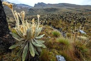 Inter-American Court rules Colombia drilling violated native rights [Video]