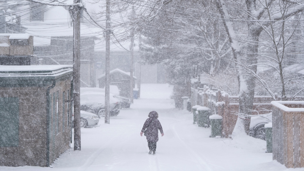 Snowfall warnings in effect for parts of N.S., N.B. [Video]