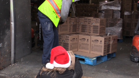 Listowel area egg farmers give back [Video]