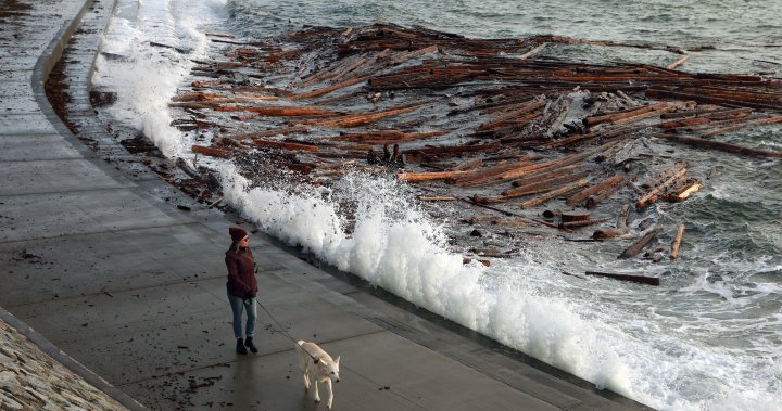 B.C coast residents again bracing for high winds amid warning [Video]