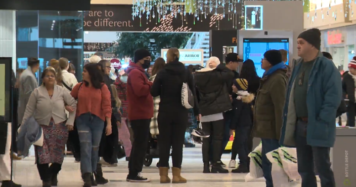 Edmontonians rush to malls on final weekend before Christmas - Edmonton [Video]