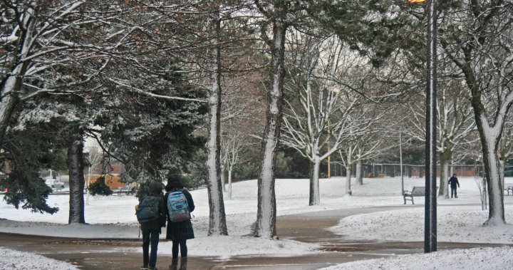 Sudden snowfall will almost guarantee a white Christmas for parts of Ontario [Video]