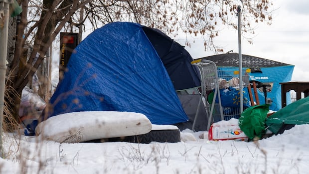 Outreach workers say Ontario encampments are ‘necessary’ amid lack of shelter spaces [Video]