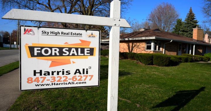 New U.S. home sales have rebounded, but will the jump last? – National [Video]