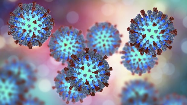 Ontario reports spike in measles cases linked to N.B. exposure [Video]