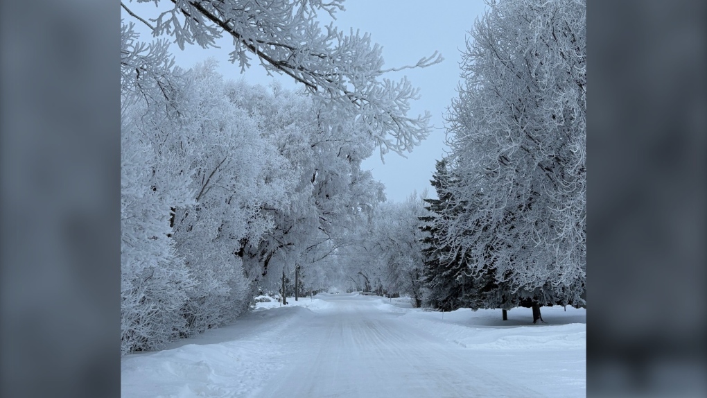 Mild temperatures sweeping across Manitoba [Video]