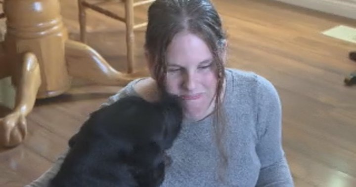 Blind woman denied Ebus service to the Shuswap due to service dog [Video]