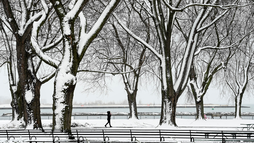 Toronto weather: White Christmas in Toronto looks likely [Video]