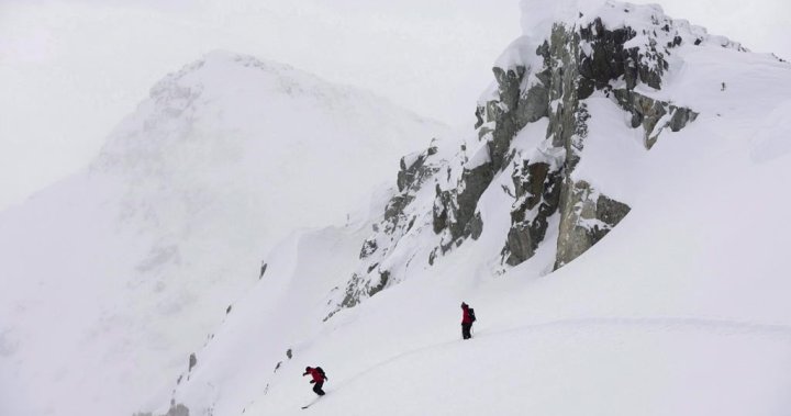 5 people rescued from avalanche west of Pemberton - BC [Video]