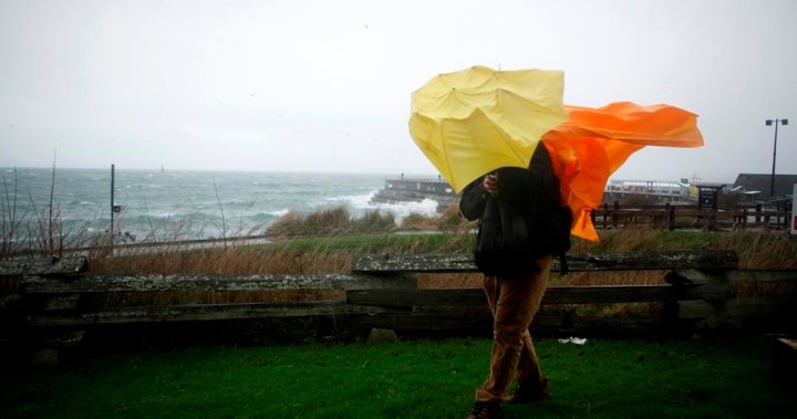 Christmas Day storm: BC Ferries cancels sailings, rain and wind warnings issued [Video]