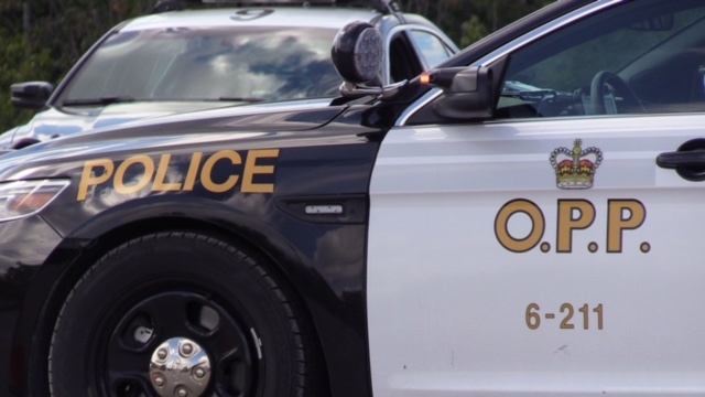 South Bruce police issue drug and traffic charges [Video]