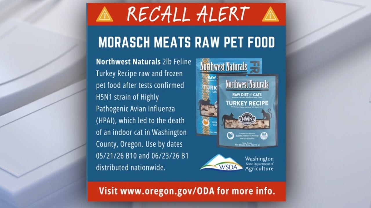 Pet food recalled after cat dies from bird flu [Video]