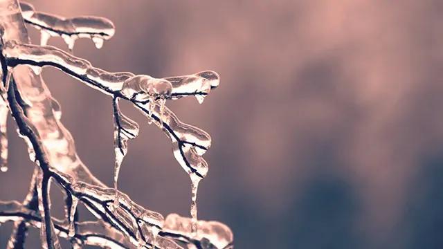 Freezing rain warning issued for parts of southern Ontario [Video]