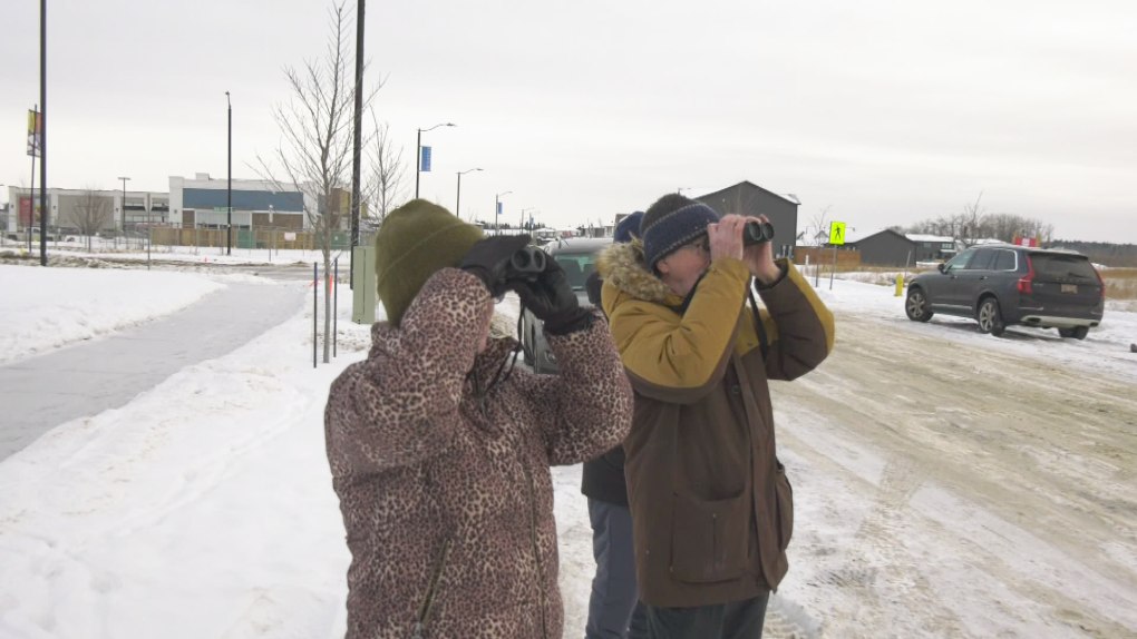 Christmas Bird Count draws out Edmonton area bird watchers [Video]