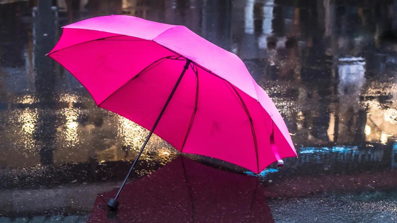 Dec. 29 weather: 12 C with heavy rain on tap for southern Ontario [Video]