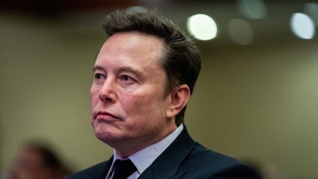 Germany accuses Elon Musk of trying to influence its election with endorsement of far-right party [Video]