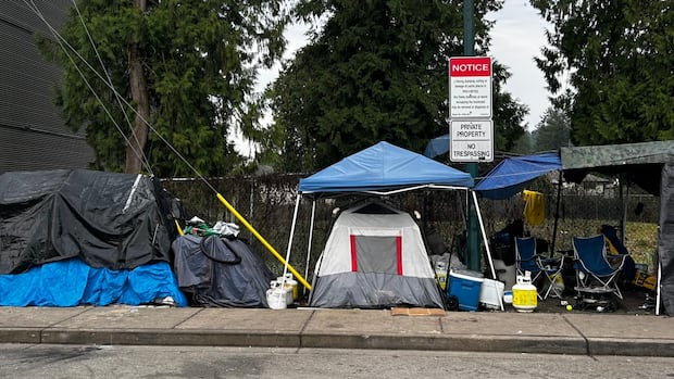 Why cities struggle to respond to B.C.’s ongoing tent encampment problem [Video]