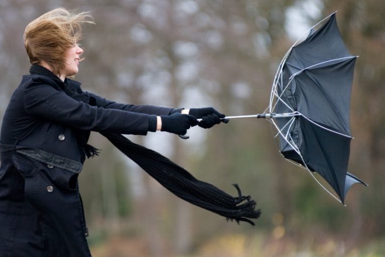 Risk of flying objects due to strong wind as special weather statement issued in southern Ontario [Video]