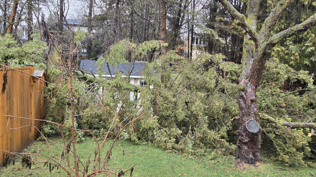 Waterloo Region residents dealing with damage as strong winds blow through the area [Video]