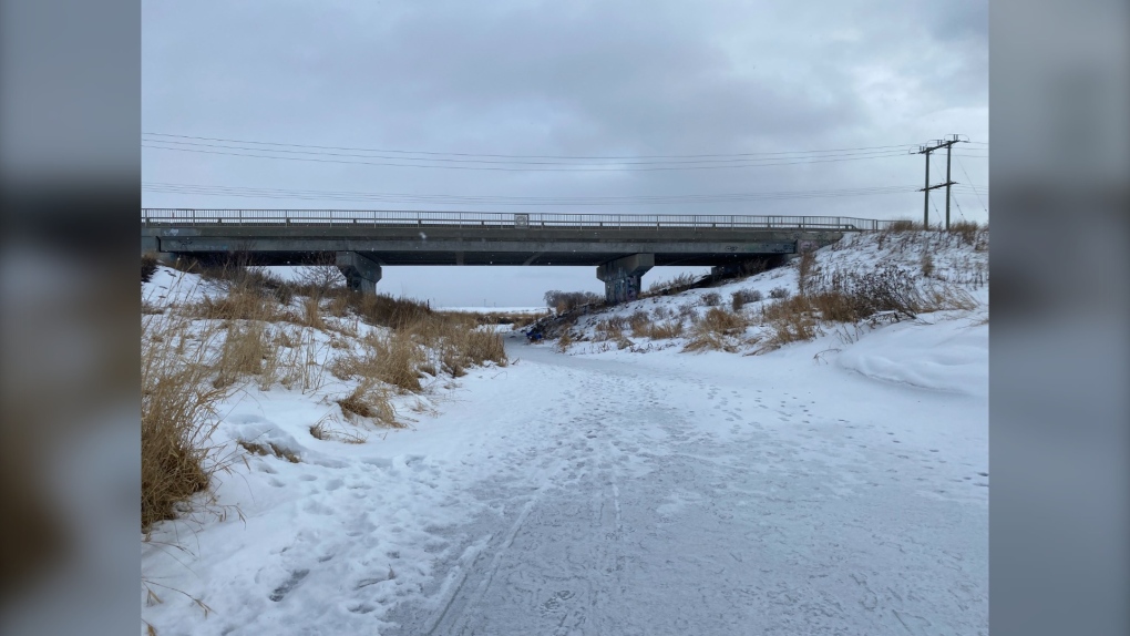 Winnipeg police investigating after multiple dead cats found [Video]